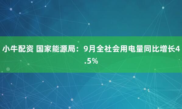 小牛配资 国家能源局：9月全社会用电量同比增长4.5%