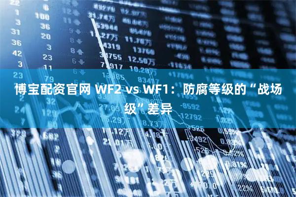 博宝配资官网 WF2 vs WF1:防腐等级的“战场级”差异